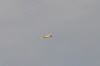 Hees-230411 (130)