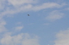 Hees-230411 (40)