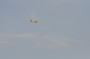 Hees-230411 (6)