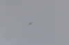 Hees-230411 (64)
