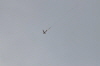 Hees-230411 (65)