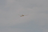 Hees-230411 (79)