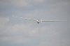 Herten_2010- (129)