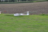 Herten_2010- (55)