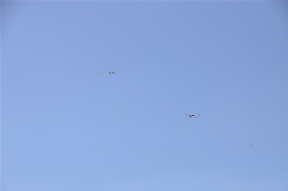 MAM-2010- (12)