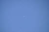 MAM-2010- (14)