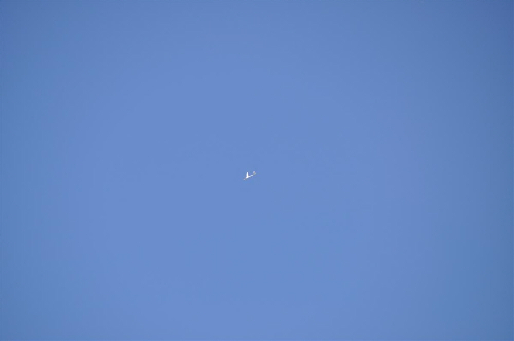 MAM-2010- (14)