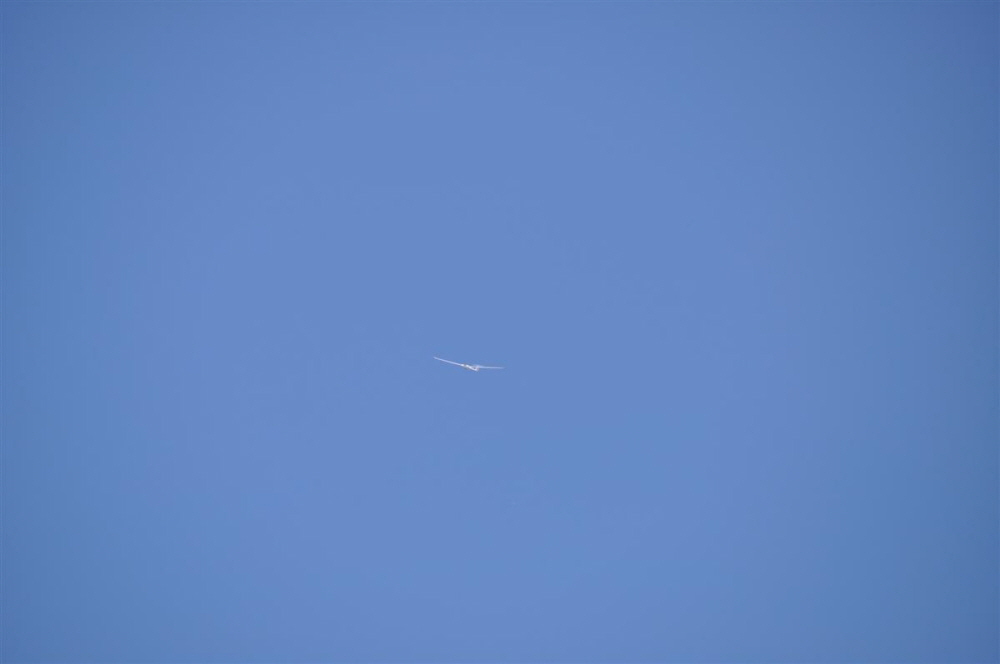 MAM-2010- (16)