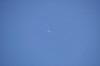 MAM-2010- (19)