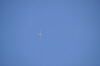 MAM-2010- (20)