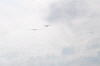 MAM-2010- (36)
