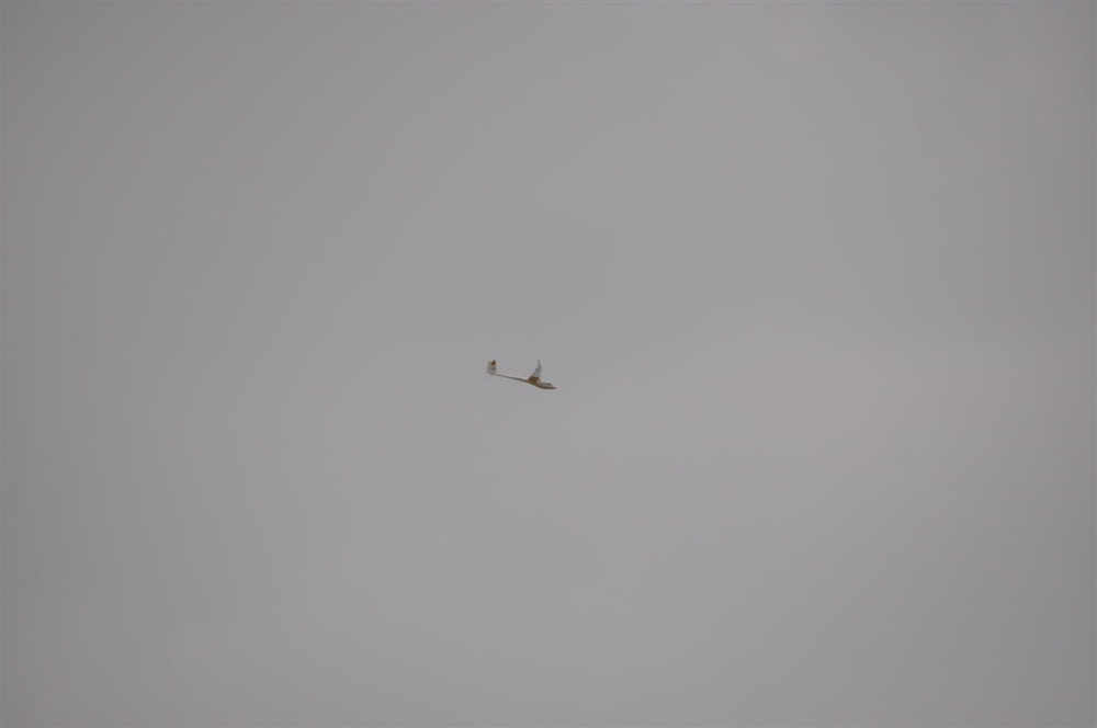 MAM-2010- (68)