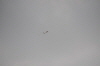 MAM-2010- (70)