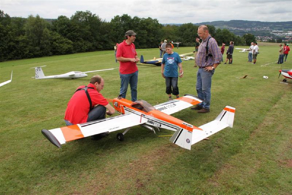 Steinau2011- (37)