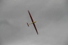 Steinau2011- (57)