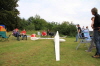 Steinau2011- (80)