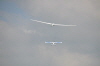 Steinau 2010- (36)